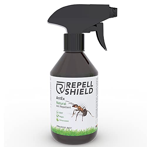 Repell Shield Spray Antihormigas Interior y Exterior para Cualquier Superficie - Propiedades Repelentes Naturales - Alternativa Ecológica al Veneno Insecticida (250ml)