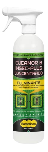 BACTERISAN Insec Plus Concentrado Ml | Insecticida Fulminante Frente A Hormigas E Insectos Voladores, Transparente, 500 ml