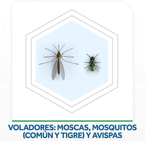 Raid Spray Insecticida - Aerosol para moscas y mosquitos, Frescor Natural. Eficacia inmediata. Unidad, 600ml