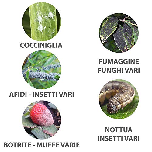 BIOBOB Zeolita Cubana para Agricultura - Actúa como Insecticida y Fungicida Biológico para Plantas Pulgon Cochinilla - Control de mohos e insectos de fácil utilización, lista para el uso