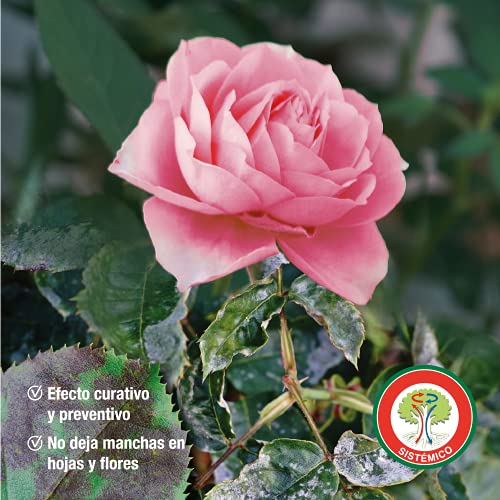 Bayer Garden - Fungicida amplio espectro especial contra el oÃ­dio del rosal, 500ml